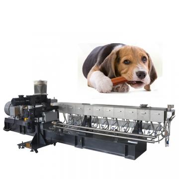 Electric Hr10L Small Scale Sausage Making Plant Hot Dog Sausage Maker Machine Automatic Sausage Filler