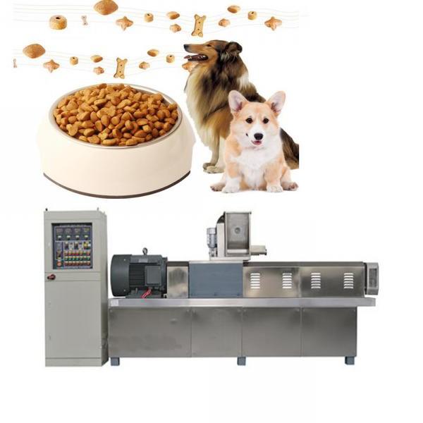 Ks-85 Twin Screw Extruder for Dry Animal Pet Dog Cat Floating Sinking Fish Feed Pellet Pet Food Making Machine