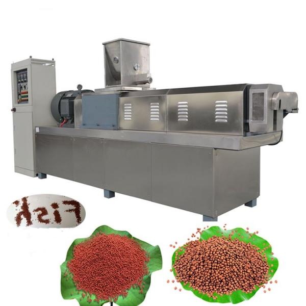 Fully Automatic Plastic Pet Bottle Blowing Machine Price Made by The Pet Preform