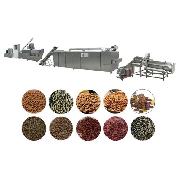 Latest Manufacturing New Products Food Box Making Machine Hot Dog Paper Box Making Machine China Manufacture for Sale