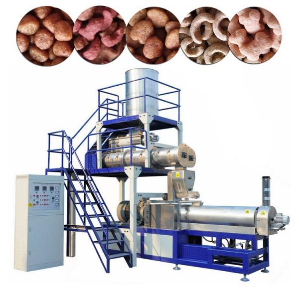 Best Selling Professional Production Line Dog Treats Making Machines