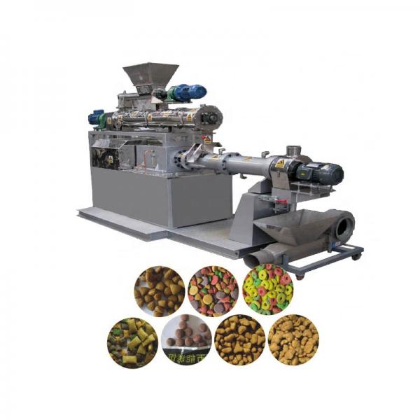 Screw Extruder Fish Feed Pellet Making Processing Machine Line