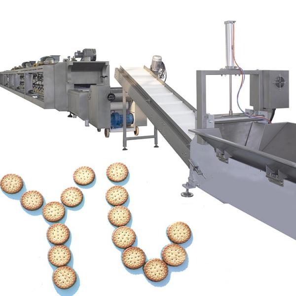 Small yield automatic biscuit making machine cracker biscuit maker