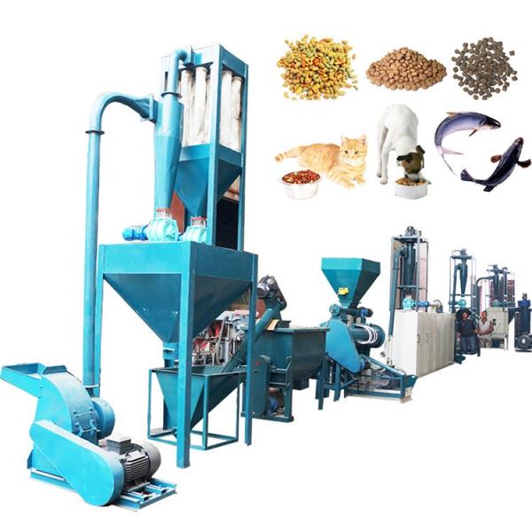Small Animal Pet Dog Floating Fish Food Pellet Production Line Equipment Plant Prices Sinking Fish Feed Making Processing Extruder Manufacturing Machine
