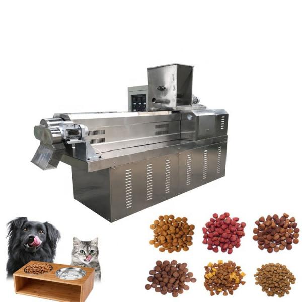 CE Certification Twin Screw Extruder Automatic Pet Food Production Line Dog Food Making Machine